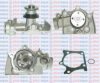 AQUAPLUS 85-5520 Water Pump